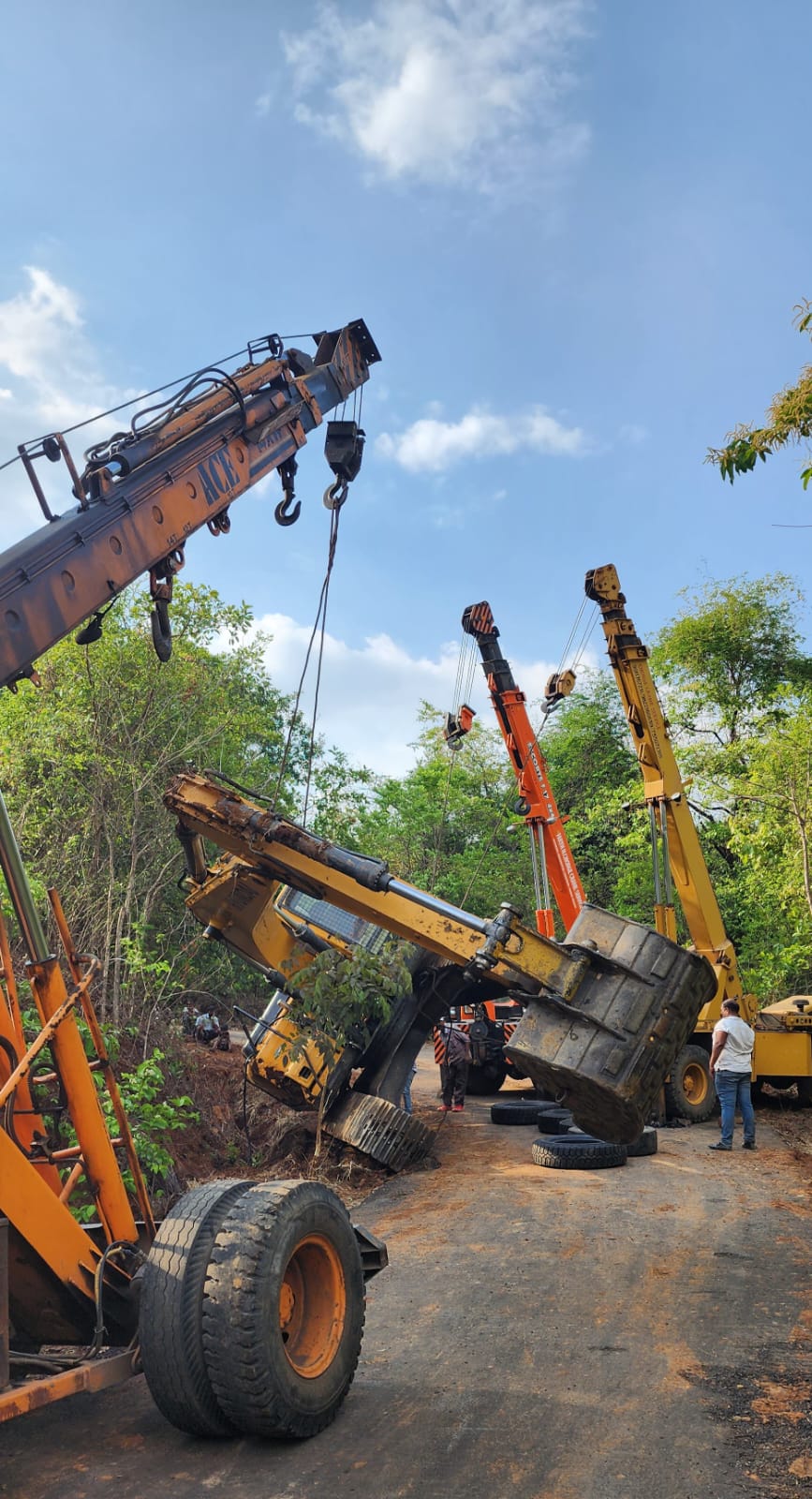 Crane Action 3