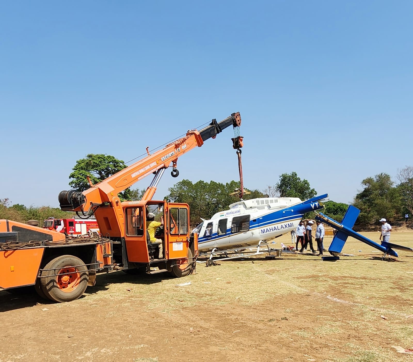 Crane Action 8